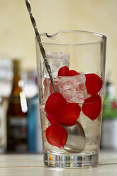 Glas mit Eiswürfeln und Rosenblüten, Rührgerät, Nahaufnahme. - CHKF00969