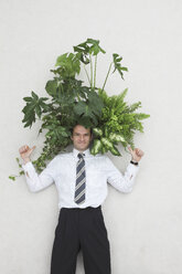 Geschäftsmann mit Laubpflanzen, Daumen hoch, lächelnd, Porträt, Blick von oben - BAEF00017