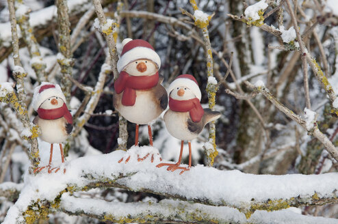 Lehm-Enten mit Weihnachtsmannmütze auf verschneitem Ast, Winter. - AWDF00493