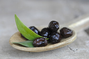 Schwarze Oliven und Blatt in Holzlöffel. - ASF04053