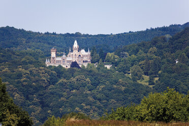 Blick auf ein Schloss im Wald. - 12166CS-U