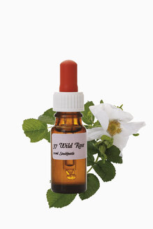 Bottle with Bach Flower Stock Remedy, Wild Rose (Rosa corymbifera), close-up - 12047CS-U