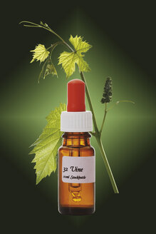 Bottle with Bach Flower Stock Remedy, Vine (Vitis vinifera), close-up - 12044CS-U