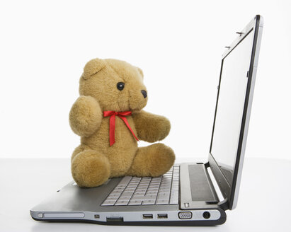Teddybär auf Laptop, Nahaufnahme - WWF01251