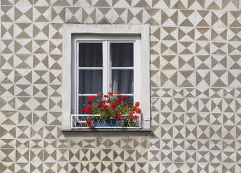 Österreich, Gmünd, Fenster mit Blumen im Blumenkasten - WWF01213