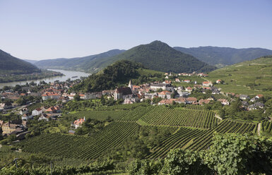 Österreich, Wachau, Spitz, Blick auf Dorf und Weinberg an der Donau - WWF01191