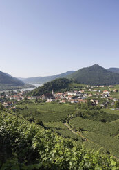 Österreich, Wachau, Spitz, Blick auf Dorf und Weinberg an der Donau - WWF01190