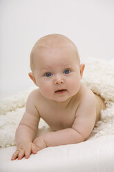 Baby boy (6-11 months) lying on bed, portrait - SMOF00397