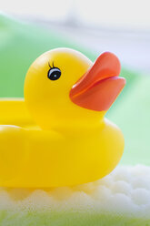 Rubber duck floating on soapsud - SMOF00392