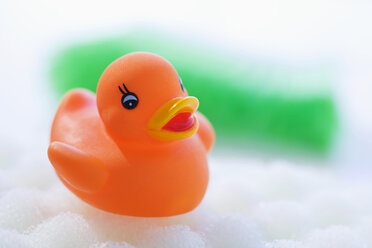 Rubber duck floating on soapsud - SMOF00390