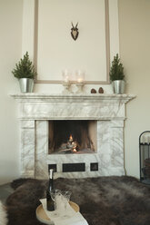 Fireplace in living room - NHF01214