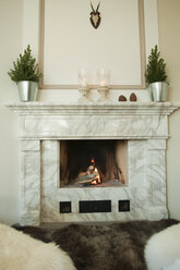 Fireplace in living room - NHF01212