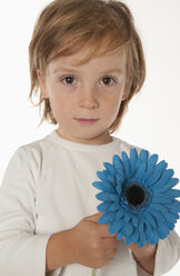 Boy (4-5) holding blue flower, portrait, close-up - NHF01206