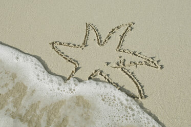 Sternfisch im Sand am Strand am Meer gezeichnet. - CRF01854