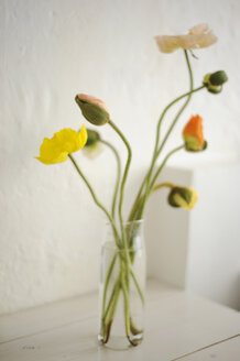 Poppy flowers in vase, close up - COF00129