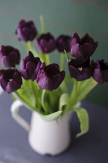 Tulips in vase, close up - COF00125