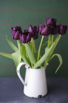 Tulips in vase, close up - COF00124