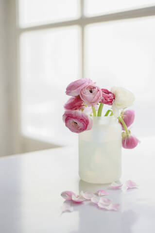 Hahnenfußblüten in Vase, Nahaufnahme, lizenzfreies Stockfoto