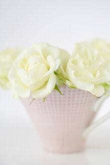 Flower vase with white roses on white background, close up - COF00115
