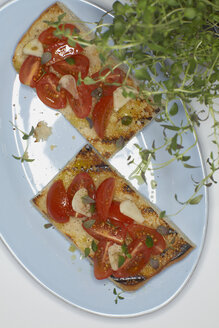 Ciabatta-Brot mit Tomaten- und Zwiebelscheiben im Teller. - CHKF01044