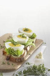 Boiled egg on rye bread garnished with cress. - CHKF00990