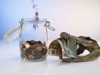 Glasgefäß mit Münzen und Alligatorschädel mit Euroscheinen - AKF00231