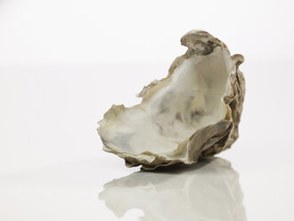 Nahaufnahme einer Austernschale auf weißem Hintergrund - AKF00197