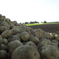 Deutschland, Hessen, Nahaufnahme von rohen Kartoffeln auf einem Feld - AKF00159