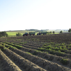 Germany, Hessen, Tractor in rural field - AKF00158