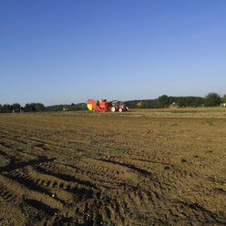 Germany, Hessen, Potatoes in field with combine harvester in background - AKF00156