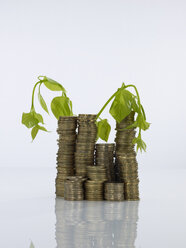 Withered plant on stack of coins - AKF00145