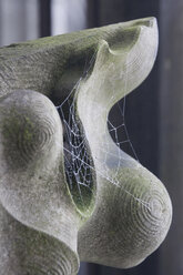 Germany, Ulm, Close up of spider web on church - WDF00687