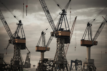 Germany, Hamburg, Construction cranes at construction site - THF01107