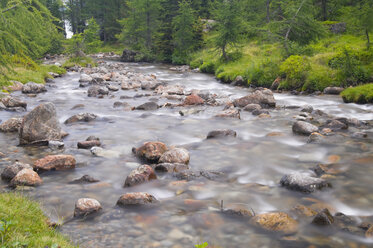 Italien, Südtirol, Ultental, Bach, der durch Bäume fließt - SMF00606