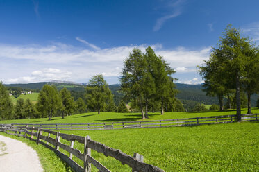 Italien, Südtirol, Jenesien, Zaun um Bäume mit Berg im Hintergrund - SMF00603