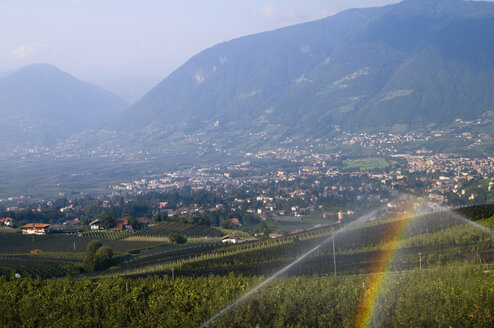 Italien, Südtirol, Vinschgau, Blick auf Apfelacker mit Dorf - SMF00596