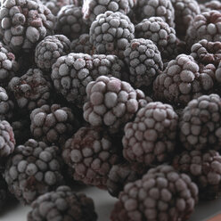 Gefrorene Brombeeren, Nahaufnahme - SRSF00057