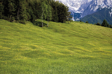 Deutschland, Bayern, Blick auf Buckelwiese mit Karwendelgebirge im Hintergrund - 12777CS-U