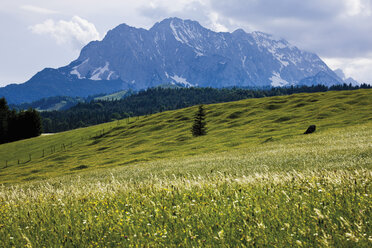 Deutschland, Bayern, Blick auf Buckelwiese mit Karwendelgebirge im Hintergrund - 12774CS-U