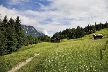 Deutschland, Bayern, Blick auf Buckelwiese mit Karwendelgebirge im Hintergrund - 12760CS-U