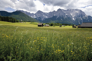 Deutschland, Bayern, Blick auf Buckelwiese mit Karwendelgebirge im Hintergrund - 12757CS-U