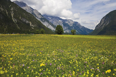 Österreich, Tirol, Leutaschtal - 12749CS-U