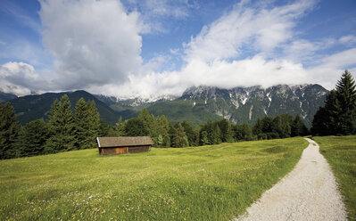 Germany, Bavaria, Hump-meadow near Karwendel mountains - 12709CS-U