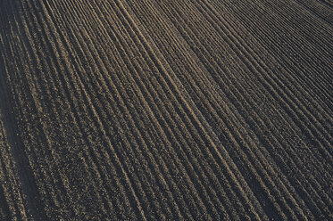 USA, Washington State, View of tractor tracks in plowed field - RUEF00408