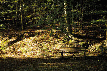 Germany, North Rhine-Westphalia, Siebengebirge, Rheinsteig View of forest with empty bench - 12935CS-U