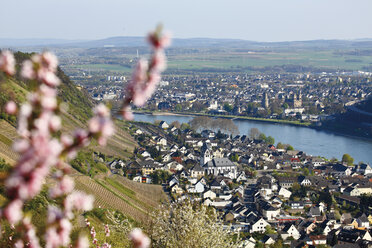 Deutschland, Rheinland-Pfalz, Leutersdorf, Blick auf Rhein und Obstbäume - 12981CS-U