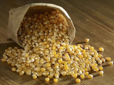 Corn grain spilling on wooden surface stock photo