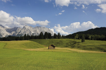 Deutschland, Bayern, Blick auf Buckelwiesen mit Karwendelgebirge im Hintergrund - 13200CS-U