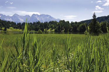 Deutschland, Geroldsee, Oberbayern, Bayern, Deutschland, Ansicht einer ländlichen Szene mit Karwendelgebirge im Hintergrund - 13193CS-U