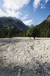 Österreich, Tirol, Blick auf Landschaft mit Karwendelgebirge im Hintergrund - 13161CS-U